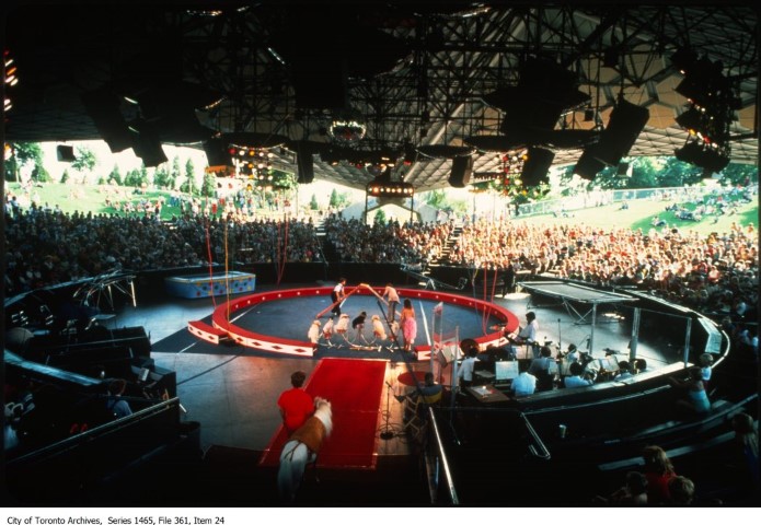 Dogs performing at Ontario Place Forum